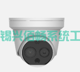 智能人體測溫雙光半球